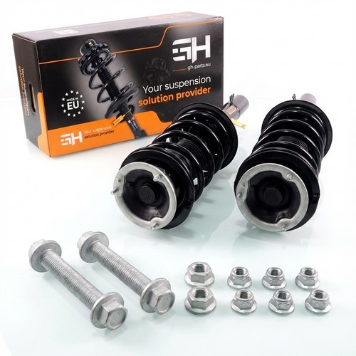 Komplett stoßdämpfer - 2x,